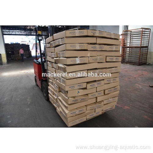Hot Sales Seafrozen Pacific Mackerel 100-200 200-300g